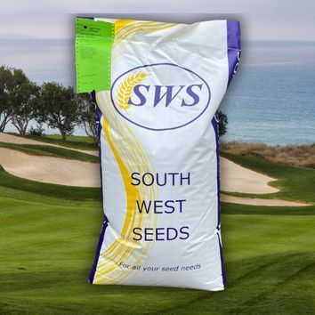 CSI Creeping Turf Perennial Greens Grass Seed Mix alternative