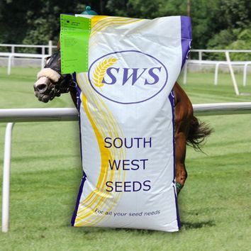 Eco Racecourse Grass Seed Mix alternative