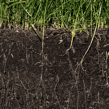 Broad Spectrum Extra Soil Test alternative