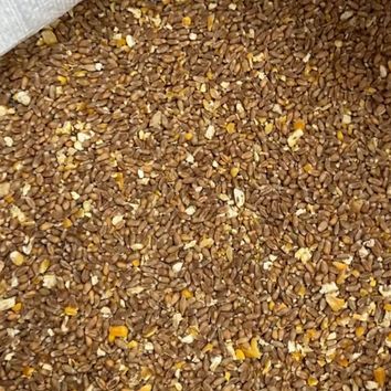 Premium Game Bird Feed | High-Quality Wheat &amp; Maize Mix