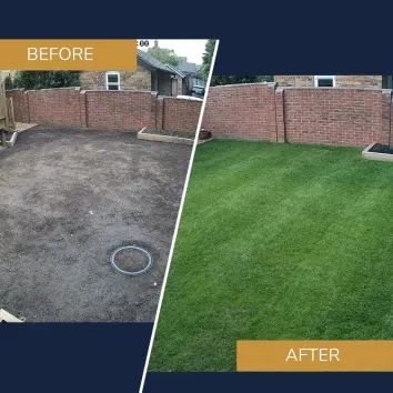 New Lawns Starter Pack for 50-100m² alternative