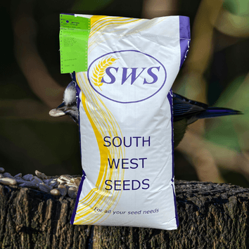 Garden Bird Feed alternative