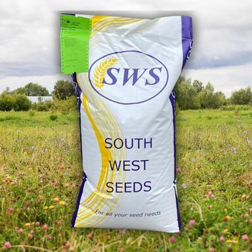 Mineral Rich Herb Mix alternative