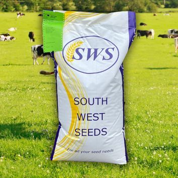 Prime Permanent Pasture alternative