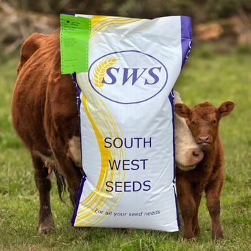 Youngstock Graze alternative