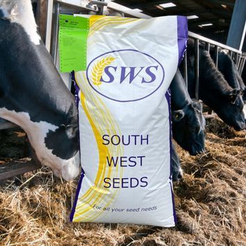 Damp Ground Silage alternative