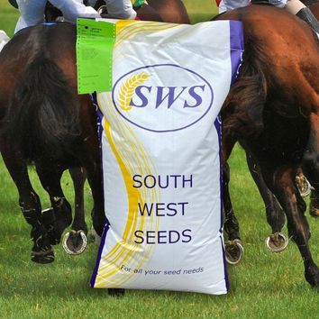 Point to Point Grass Mix alternative