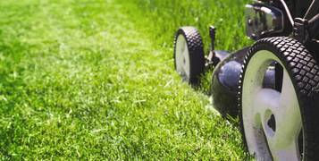 Lawn Transformation Pack (2)