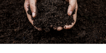 healthy soil for grass