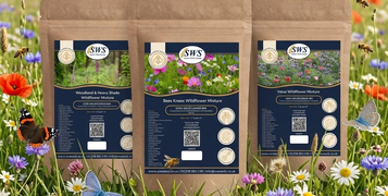 Gemini_Generated_Image_wqg3u6wqg3u6wqg3