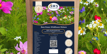 bees knees wildflowers
