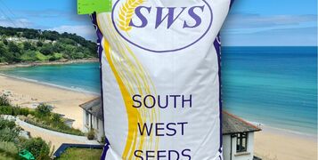 coastal grass seed