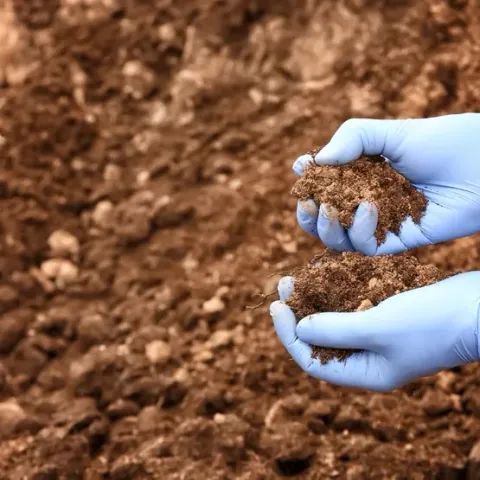 Soil Testing &amp; Sampling