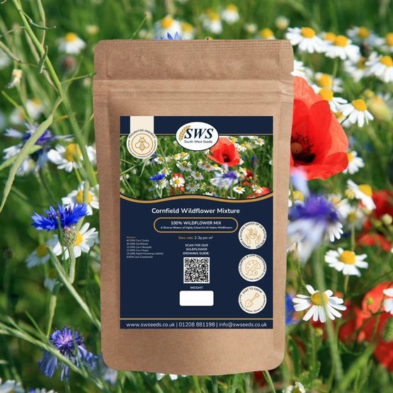 Cornfield Annual Wildflower Seed Mix