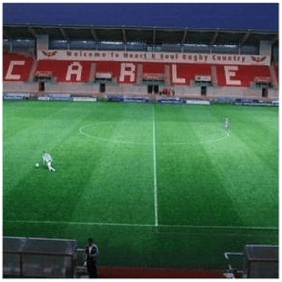 Cool Start 50 Grass Seed Mix