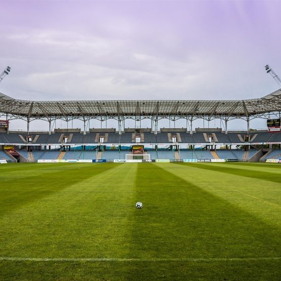 Cool Start 100 Grass Seed Mix