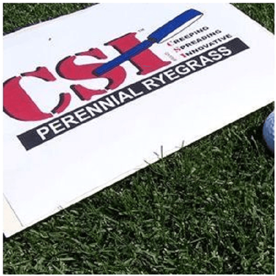 Pitch Repair Grass Seed Mix