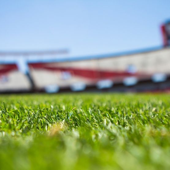 Kick Off Premium Grass Seed Mix