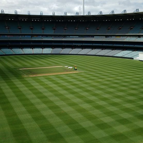 Cricket Outfield Grass Seed Mix