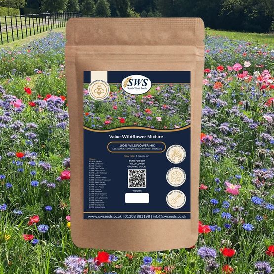 Value Wildflower Seed Mixture