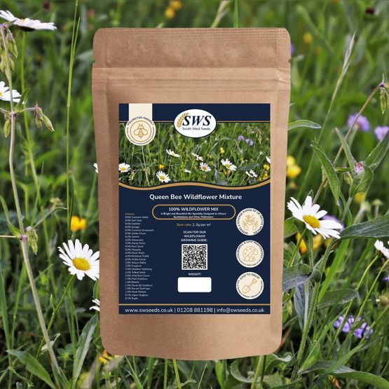 Queen Bee Mix (Neutral Soils)