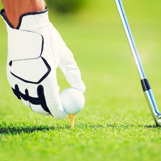 Tee Off 2 Grass Seed Mix