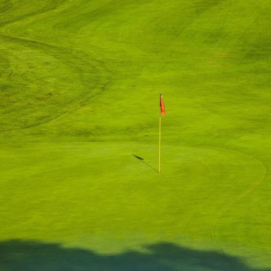 Fairway Finder Tough Long Drive | Ryegrass Fairway Seed