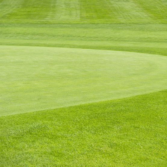 Fairway Finder Resilient