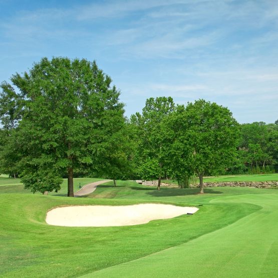 Fairway Rough Grass Seed Mix