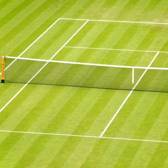 Straight Sets Grass Seed Mix