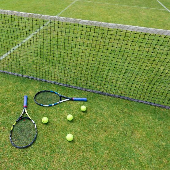 Long Rally Grass Seed Mix