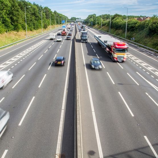 Department of Transport Grass Seed Mix