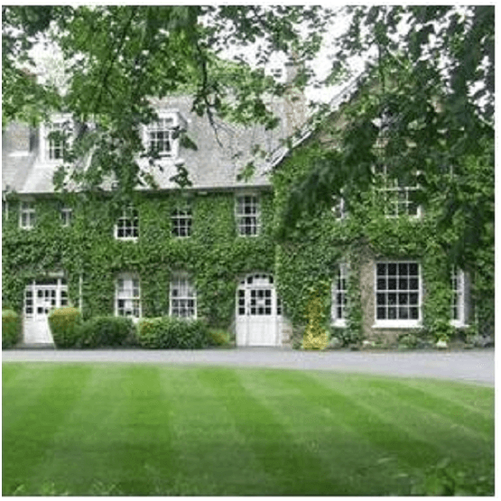 Low Maintenance Grass Seed Mix