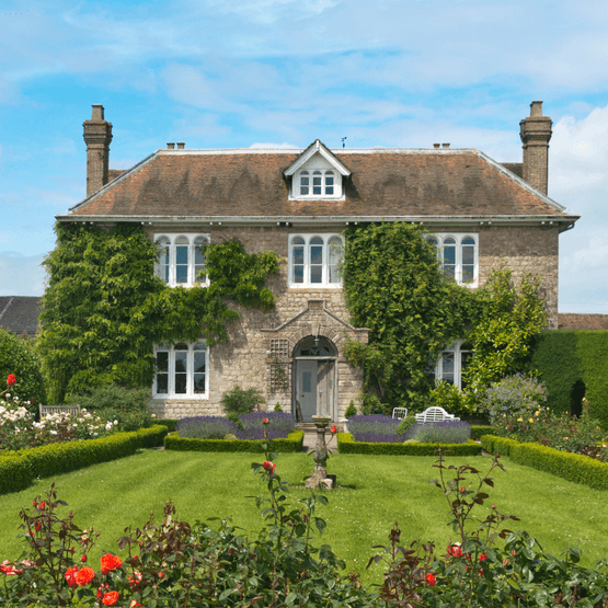 General Landscaping Grass Seed Mix