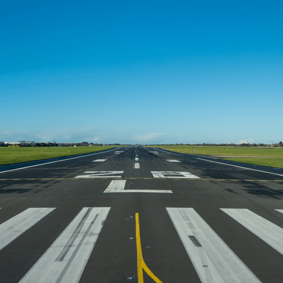 No Birdstrike Airport Grass Seed Mix