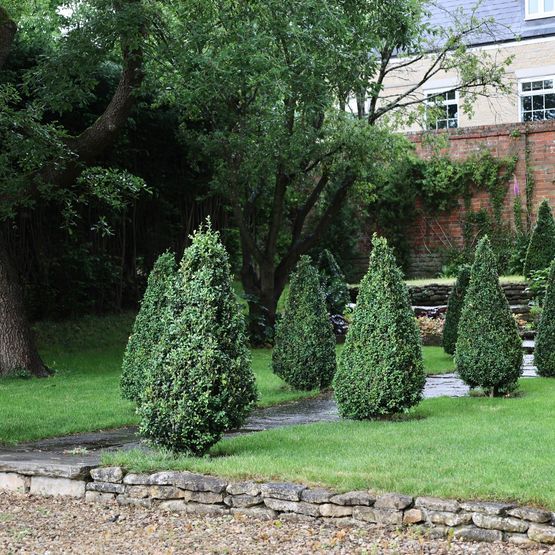 All Season controlled release - Velvit Velscape 15-5-10 30% Nutrilong V90 Granular