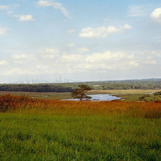 Reclamation Grass Seed Mixture
