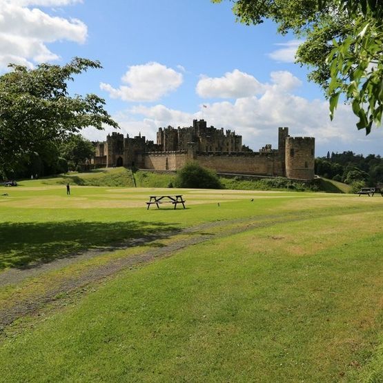 Country Park Grass Seed Mixture