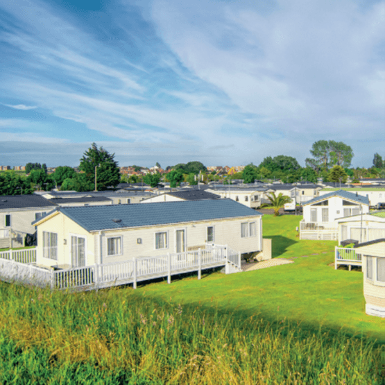 Caravan Park Premium Grass Mixture