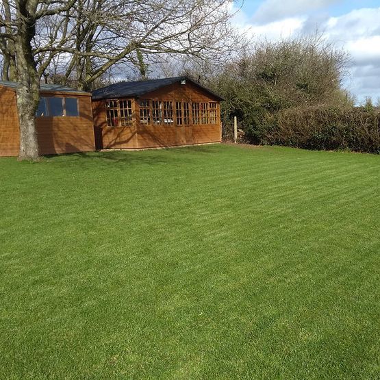 Stress Buster Lawn Grass Seed