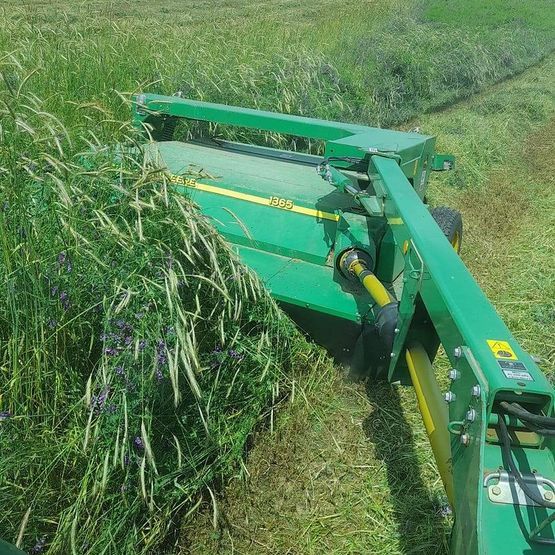 SAM2 Nitrogen Fixer Cover Crop