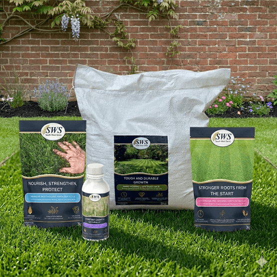 Premium Lawn Rejuvenation Pack for 100m²