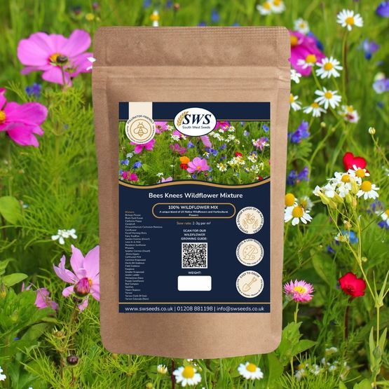 Bees Knees Wildflower Seed Mixture
