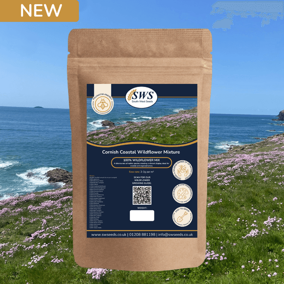 Cornish Coastal Wildflower Mix