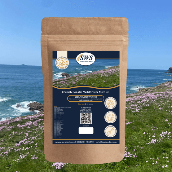 Cornish Coastal Wildflower Mix | Salt and Wind-Tolerant Native Perennials