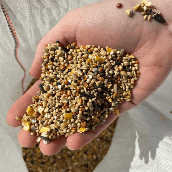 Garden Bird Feed | High Energy Wild Bird Mix