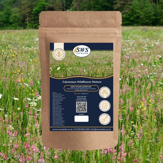 Chalk &amp; Sandy Soil Wildflower Seed Mixture