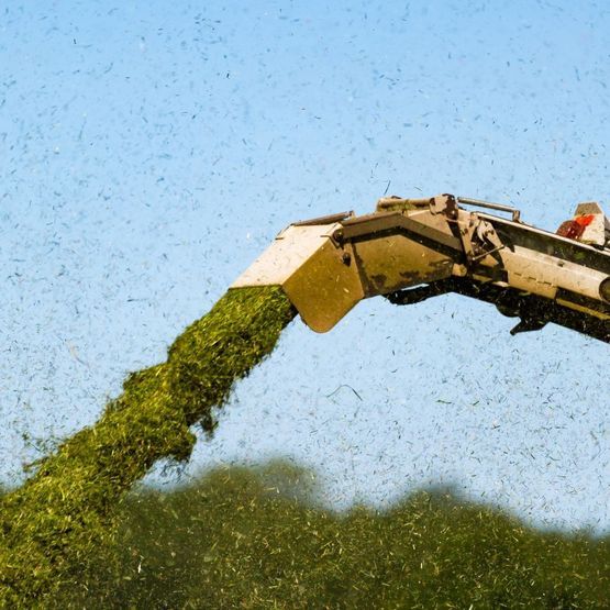 High Yield Silage Cutter