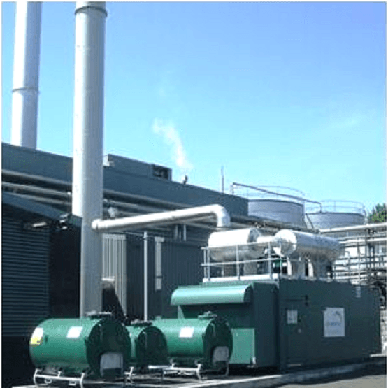 AD Plant Medium Term Grass Seed Mix