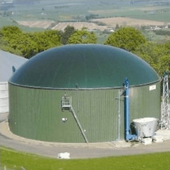 AD Plant Long Term Grass Seed Mix